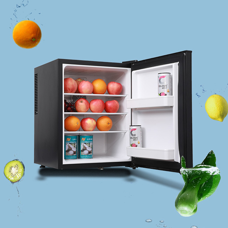 Mini Fridge Cooler 40L Refrige - Wine Beer Fridge Small 评论和价格