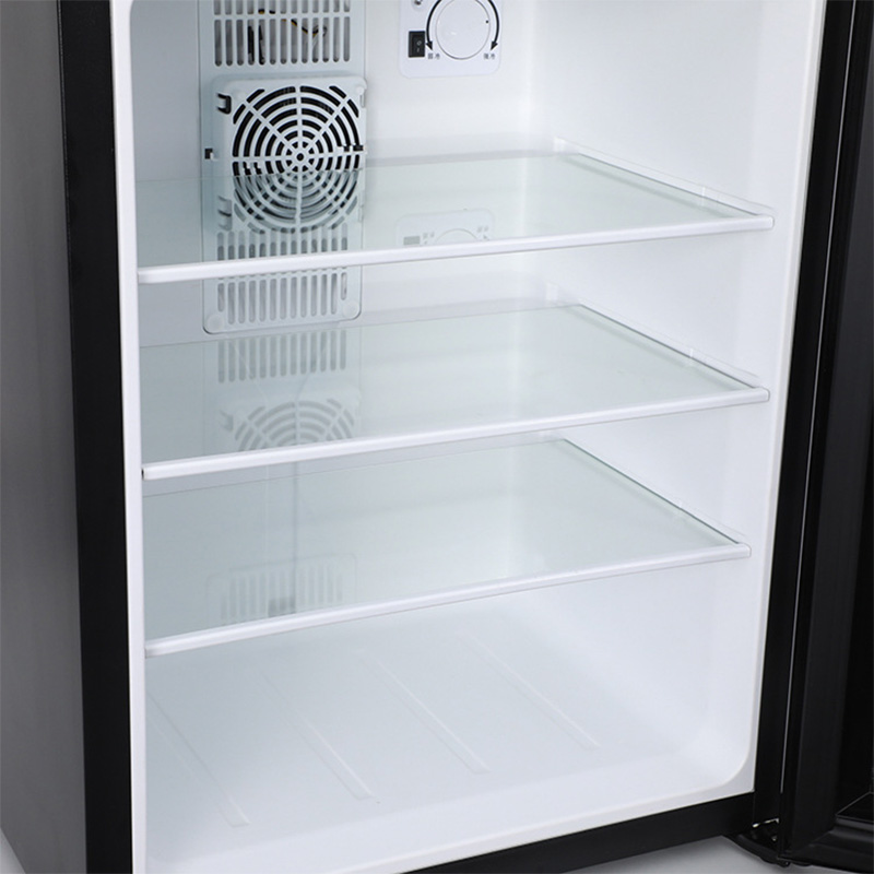 Mini Fridge Cooler 40L Refrige - Wine Beer Fridge Small 评论和价格