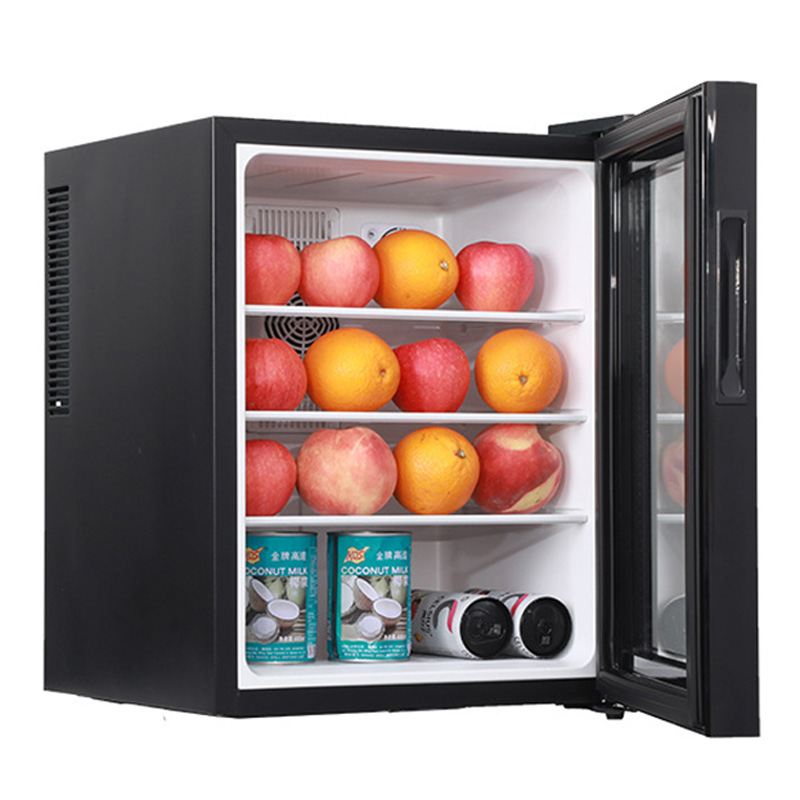 Mini Fridge Cooler 40L Refrige - Wine Beer Fridge Small 评论和价格