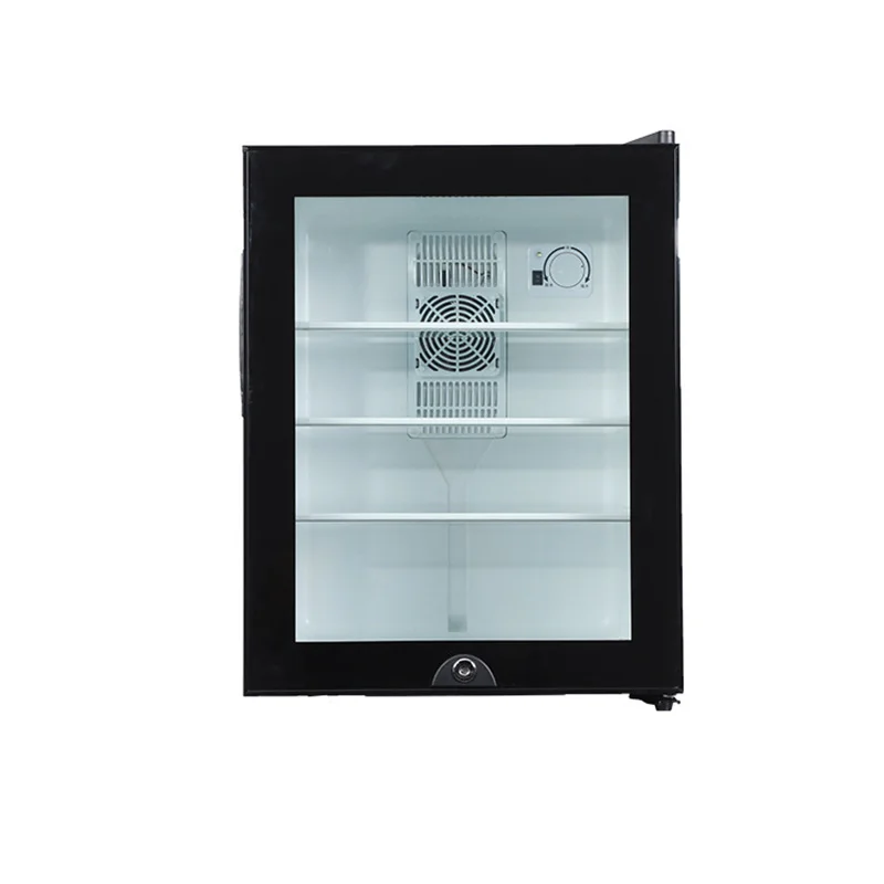 Mini Fridge Cooler 40L Refrige - Wine Beer Fridge Small 评论和价格