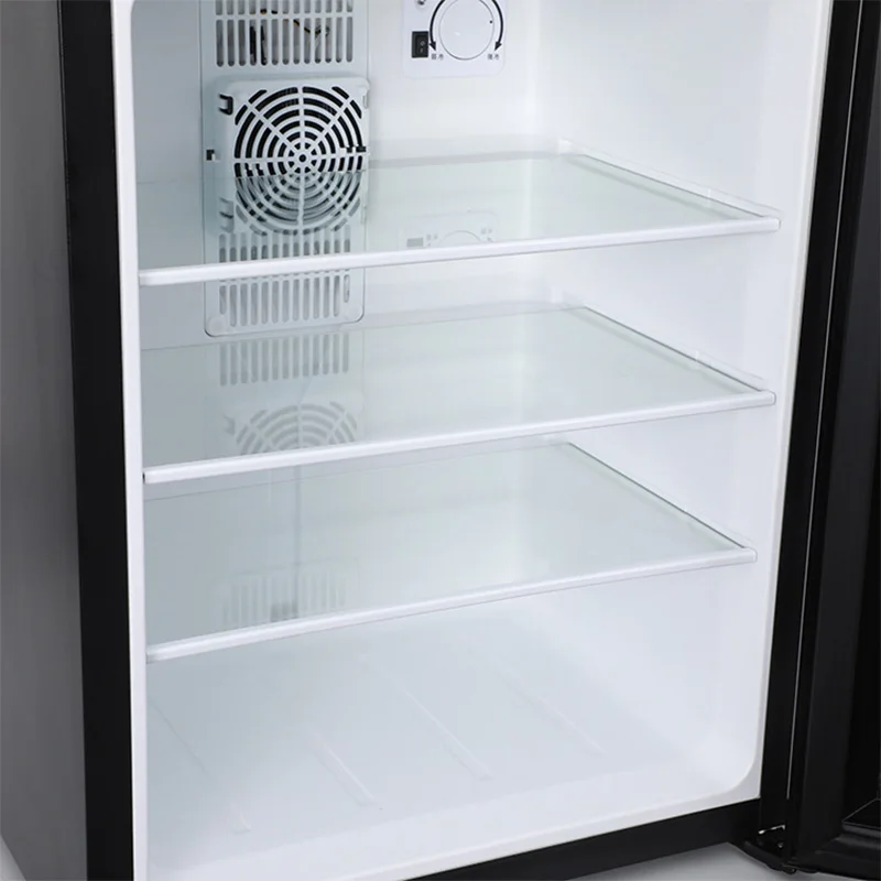 Mini Fridge Cooler 40L Refrige - Wine Beer Fridge Small 评论和价格